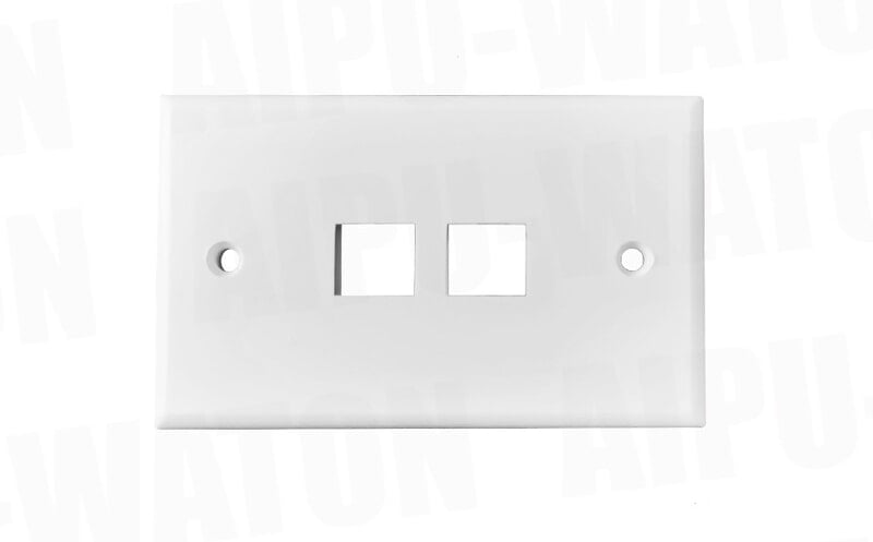 2 prots 80*80MM French type faceplate